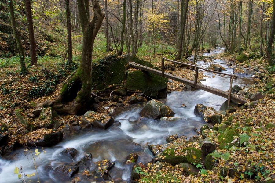 Ruska Koca Ξενοδοχείο Hočko Pohorje Εξωτερικό φωτογραφία